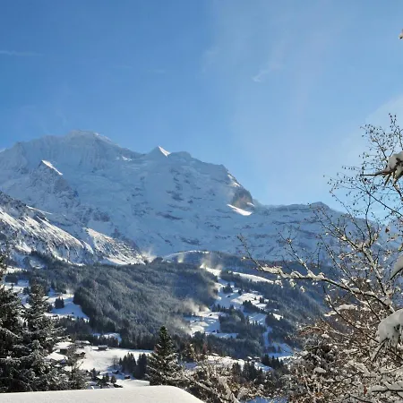 Bergfrieden Apt- 2 By Interhome Appartamento Wengen